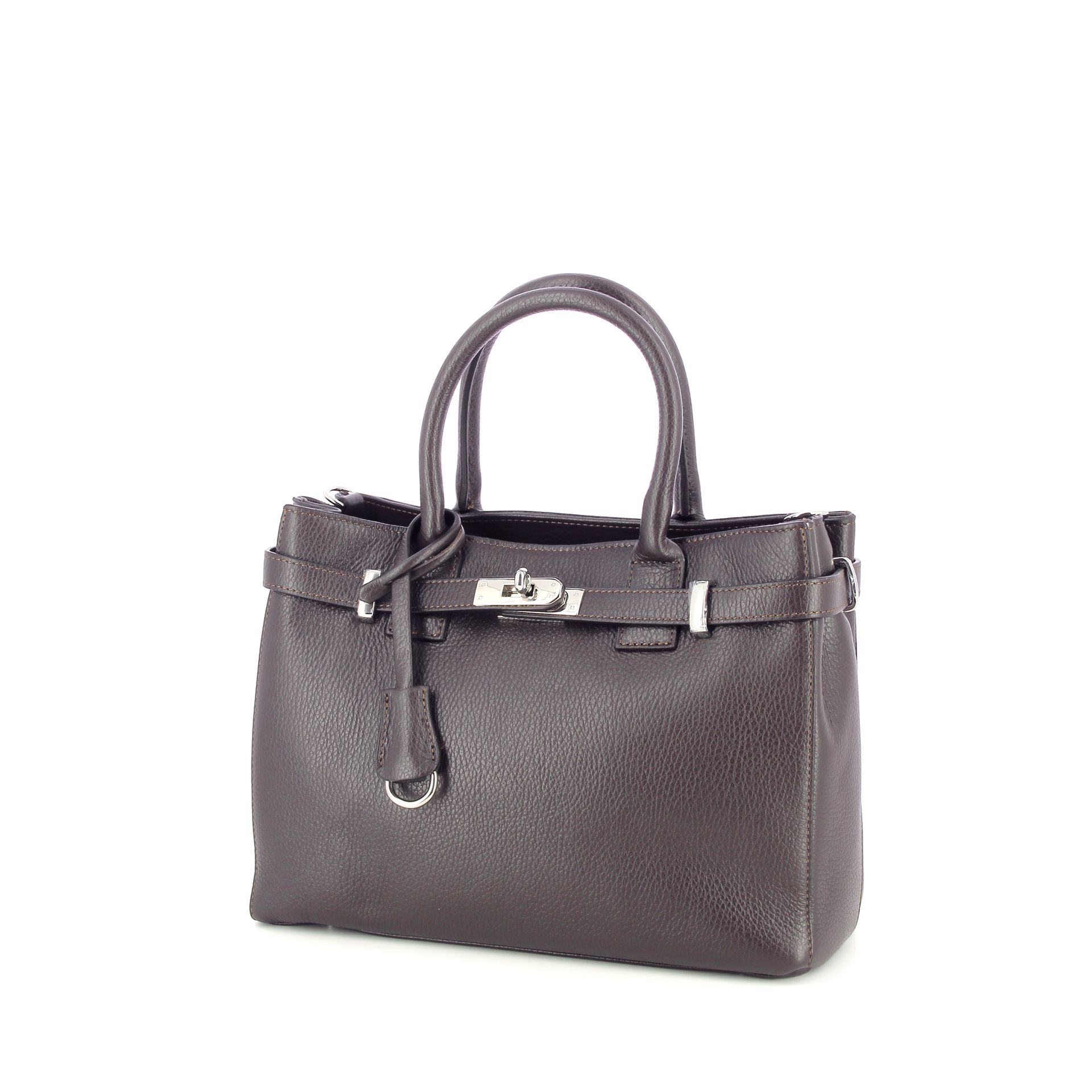 Carol J. Handtas 269202 bruin