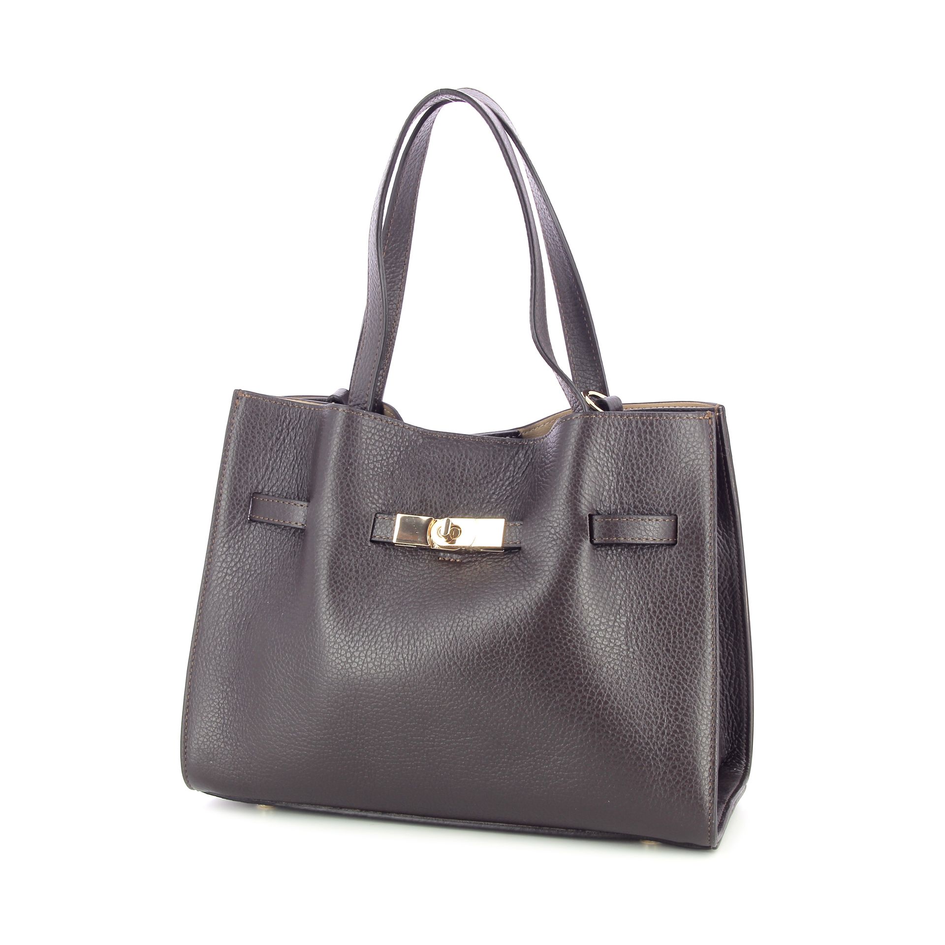 Carol J. Handtas 269205 bruin