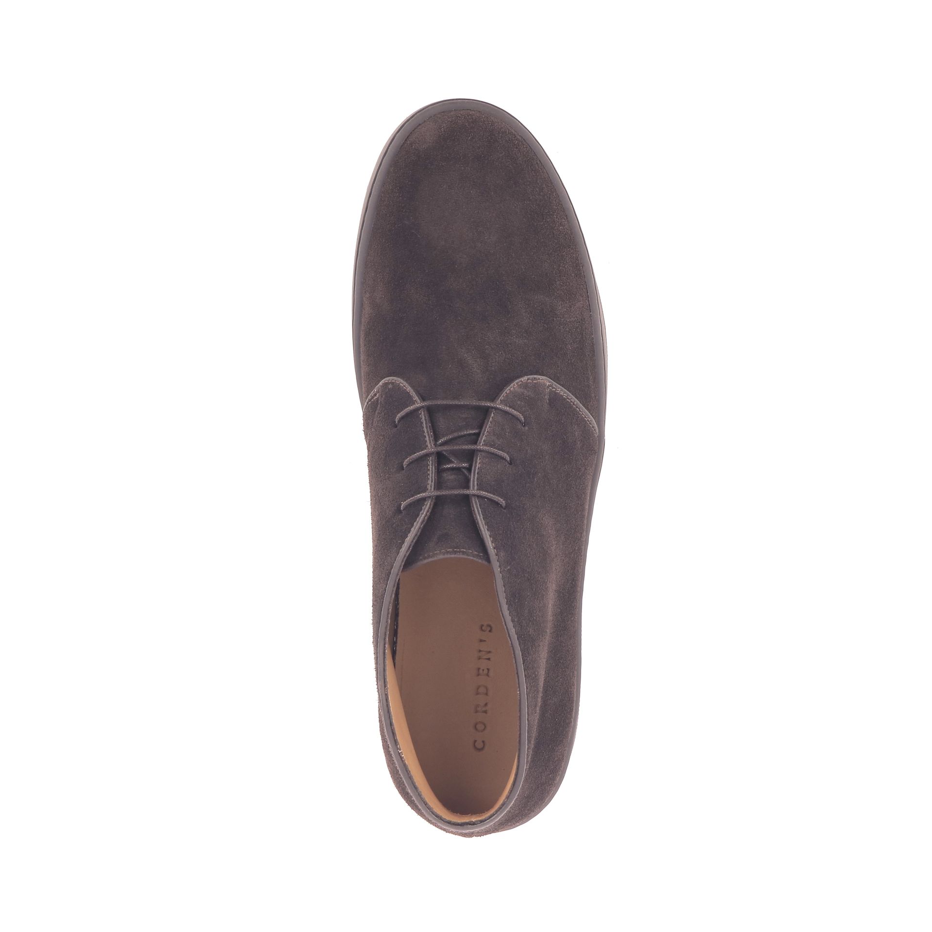 Corden's Fairview 269230 bruin