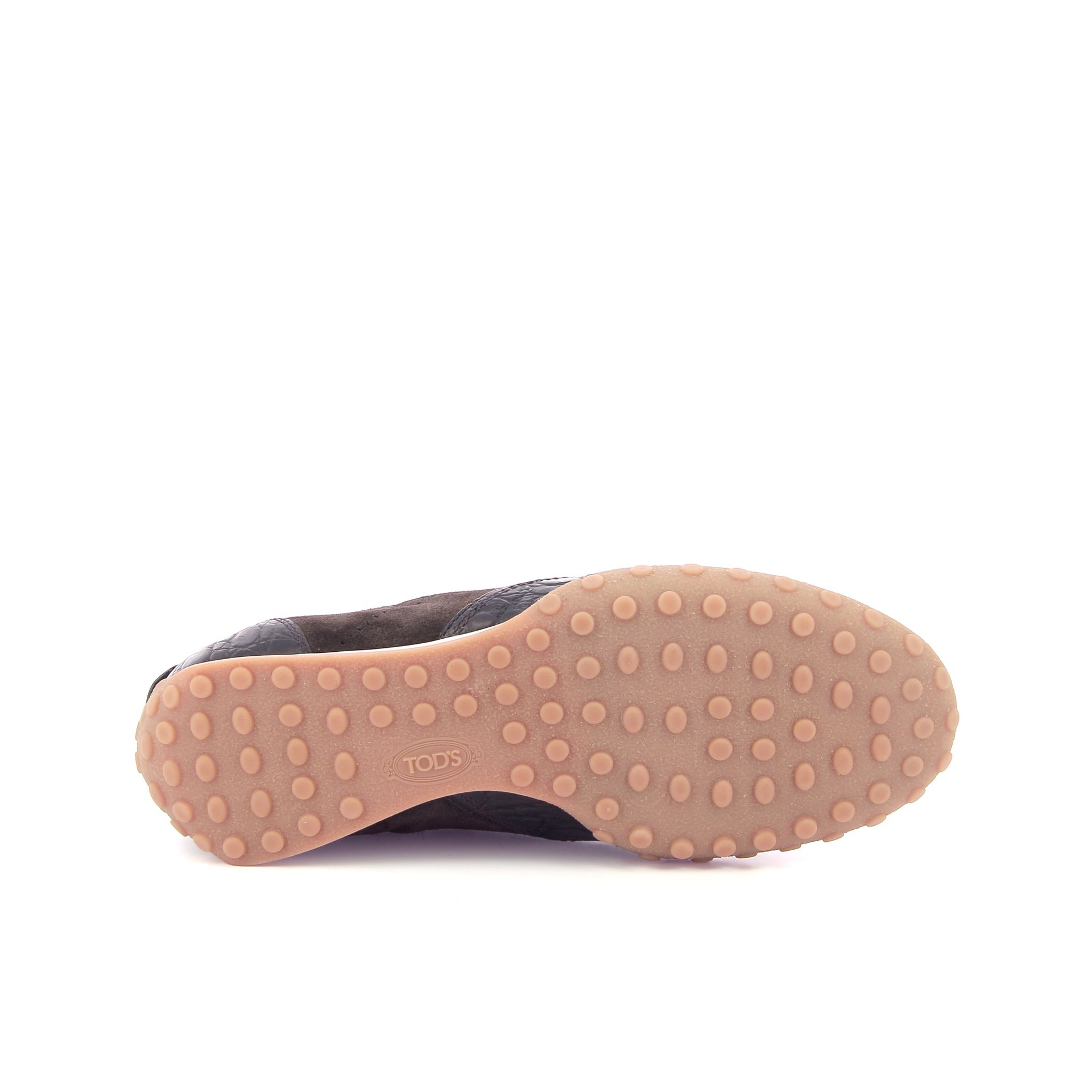 Tod's Sneaker 269256 bruin
