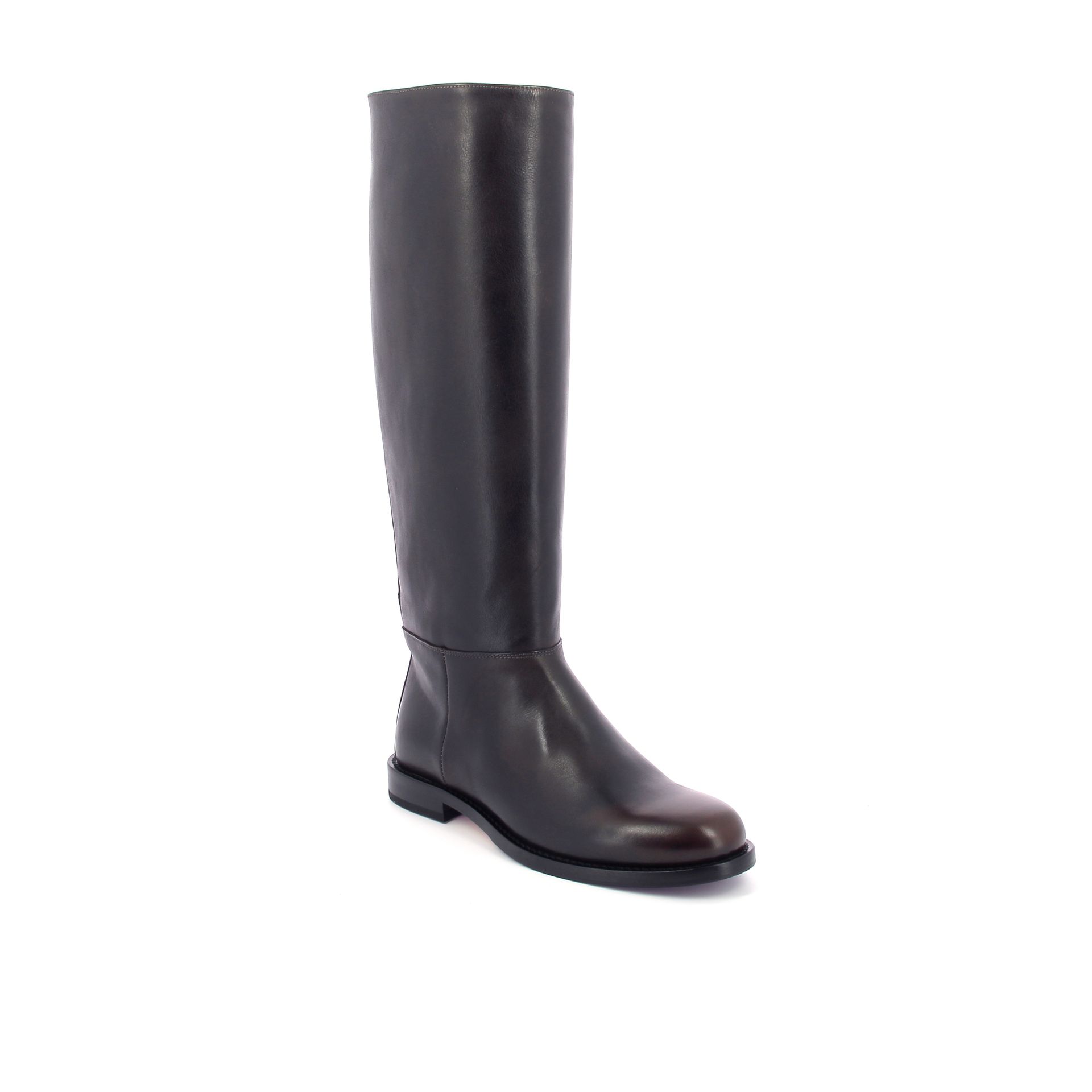 Sesa Wellington 269394 bruin