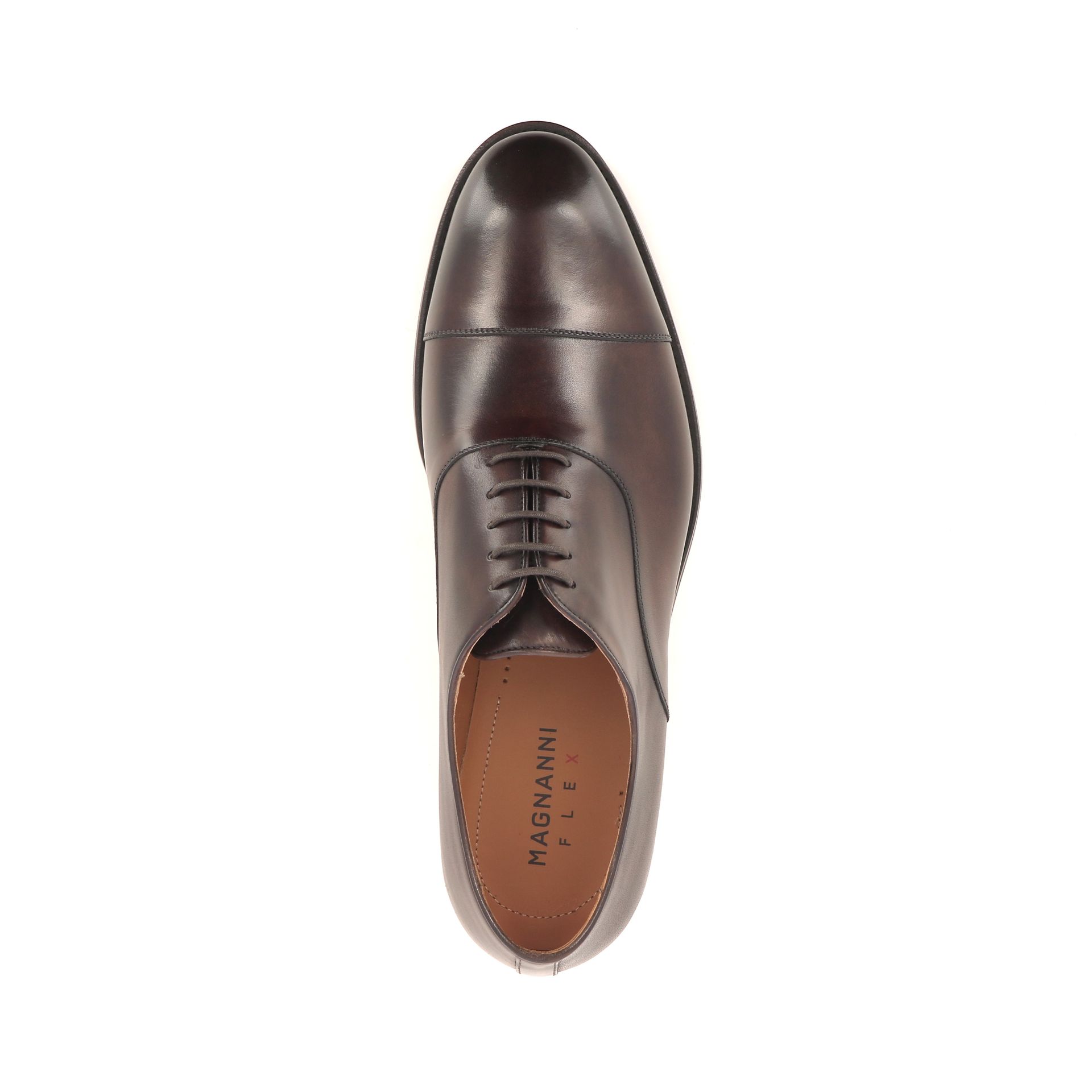 Magnanni Mayon 269942 bruin