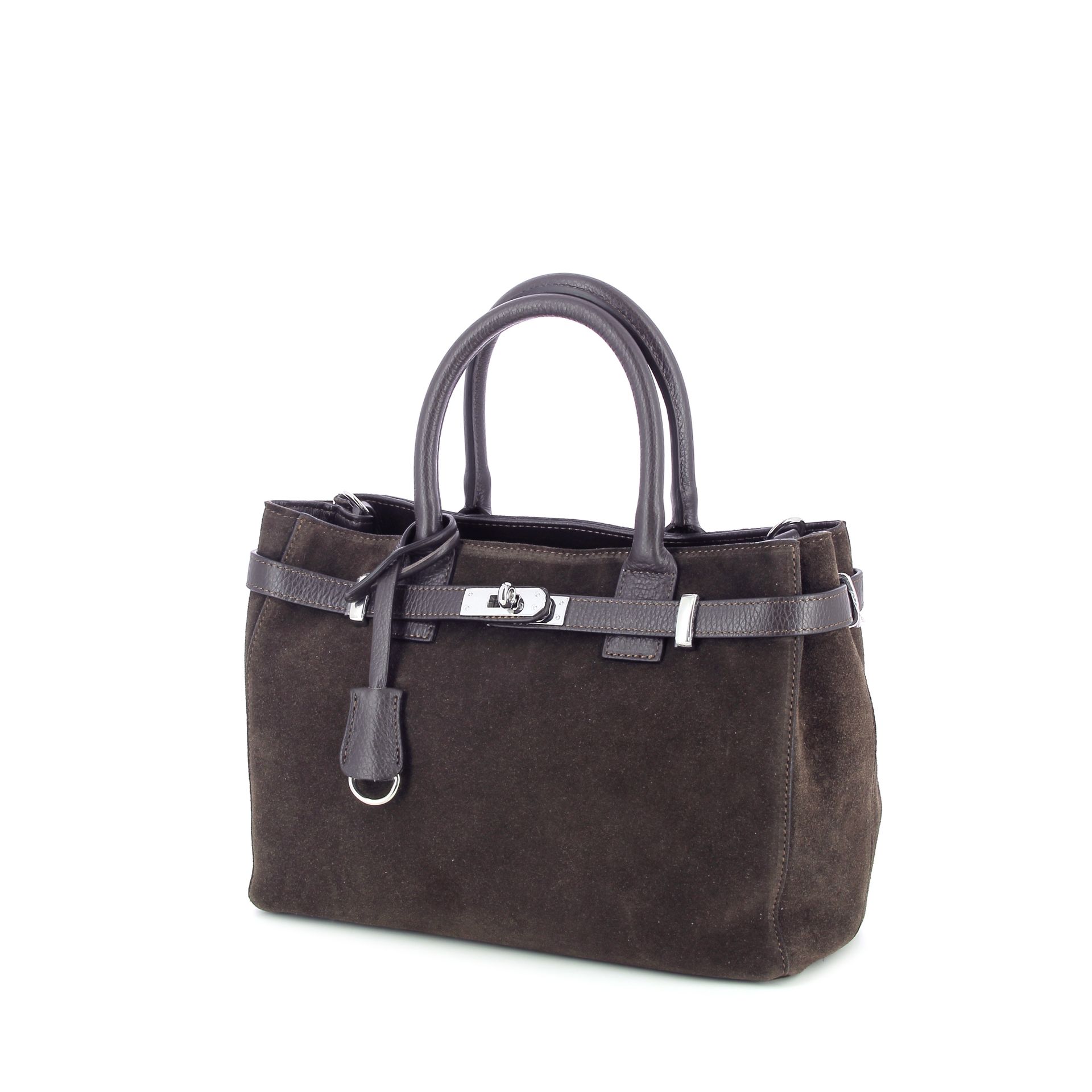 Carol J. Handtas 270566 bruin