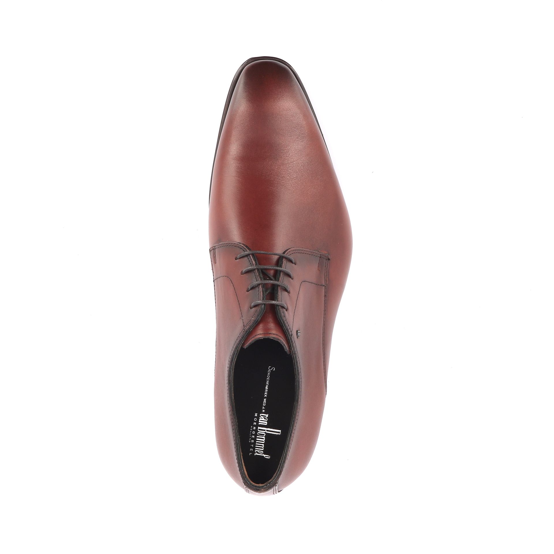 Van Bommel Raffa 03.00 272654 cognac