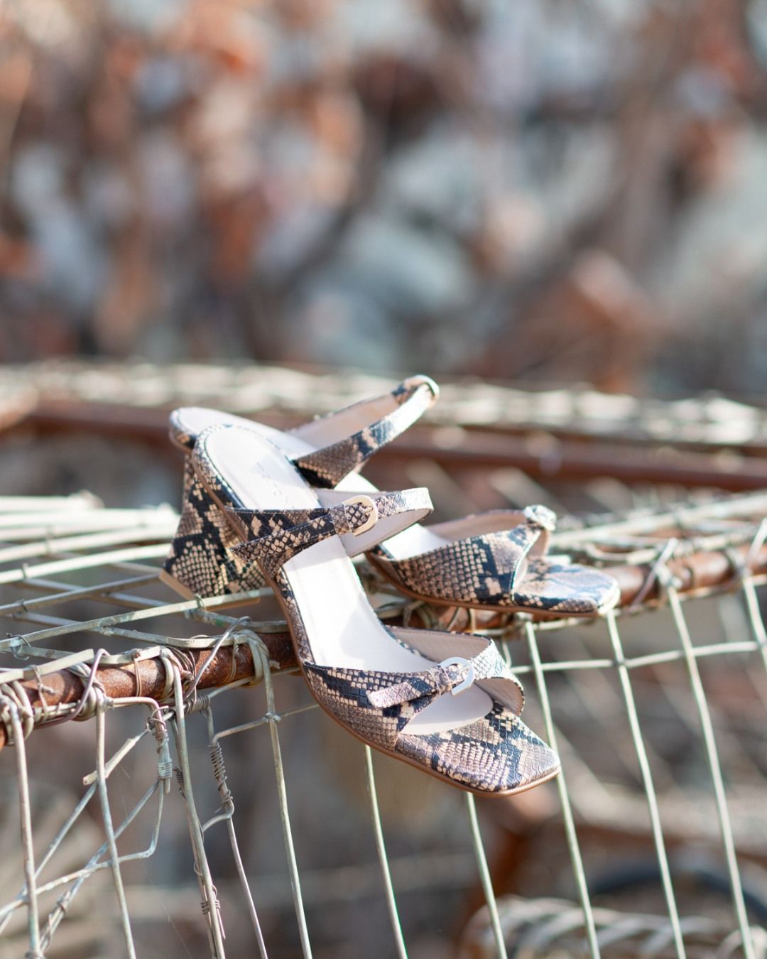 Ｍｏｄｅｍｕｉｌｔｊｅ

Minimalistisch van vorm, maar met karakter 🐍
Deze March23 muiltjes combineren een verfijnde hak met een opvallende print.

#march23 #muiltje #vanloock #nieuwecollectie #newin #SS26