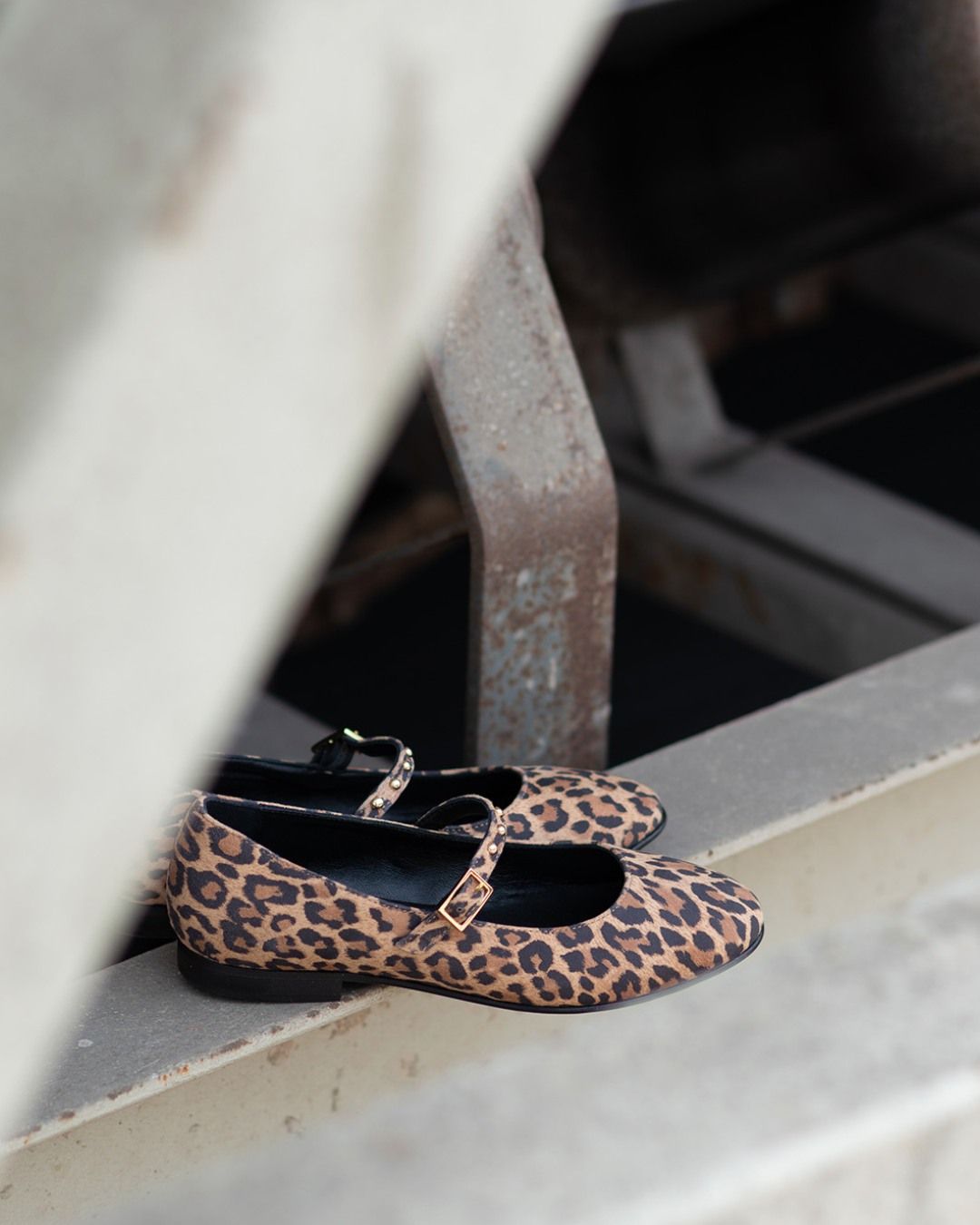 Al op zoek naar feestoutfits? ✨ Deze stoere ballerina’s van Morelli (vanaf maat 33) zijn perfect voor meisjes met stijl... extra leuk met een speels sokje erbij 🧦

🔎 257347

#vanloock #vanloockkids #morelli #ballerinas #tijgerprint #feestoutfit #partyoutfit #kinderschoenen #kinderwinkel