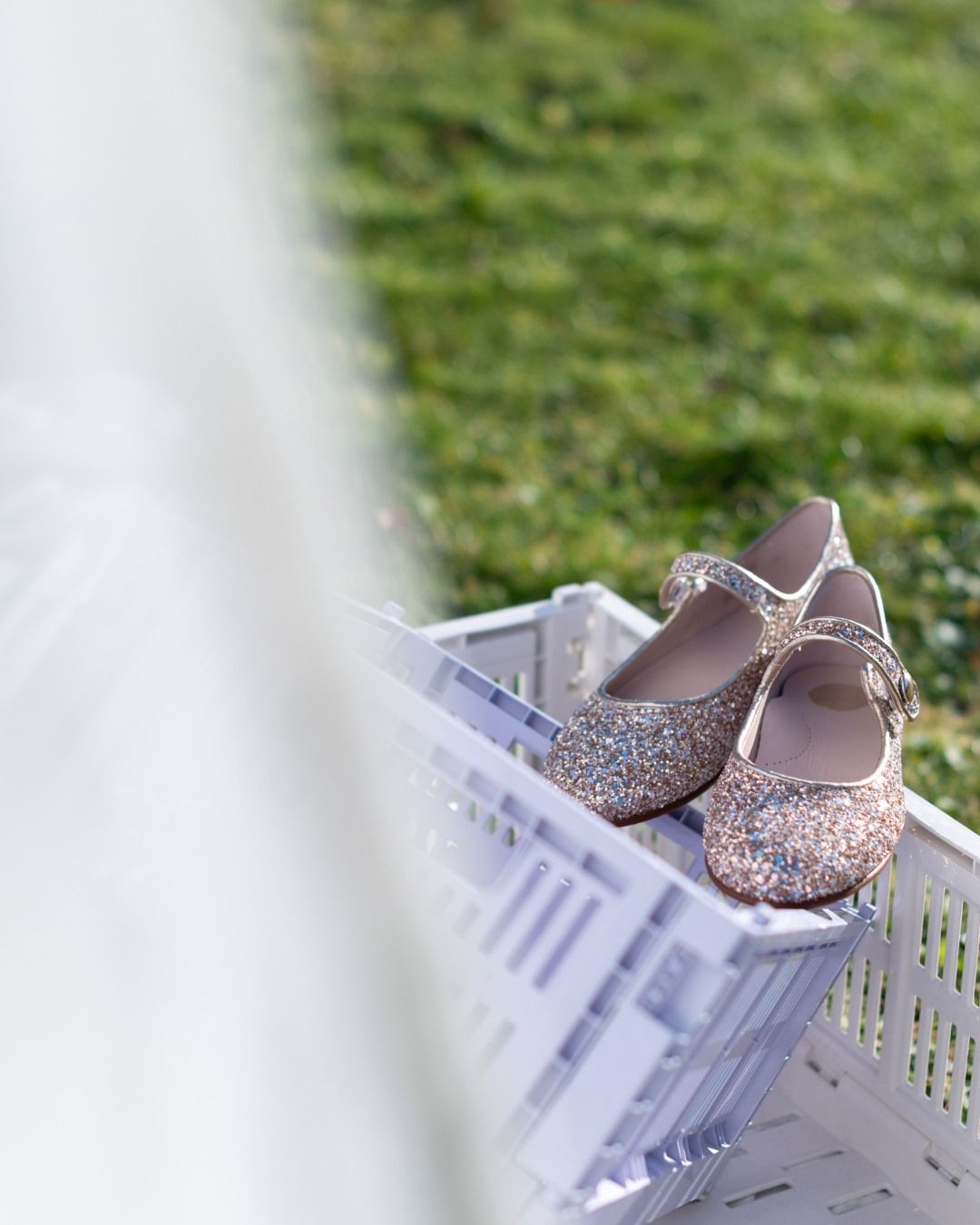 𝙼𝚊𝚍𝚎 𝚒𝚗 𝚜𝚙𝚊𝚒𝚗

Het Spaanse Beberlis vertaalt haar Zuiderse roots naar de mooiste kinderschoenen. De modellen worden geproduceerd volgens familiale tradities en zijn vervaardigd uit de beste materialen. 🍬🍭

#vanloockkids #kinderschoenen #kidsshoes #beberlis #communie #communieschoenen #feestschoenen #ballerina #glittershoes #kinderwinkel