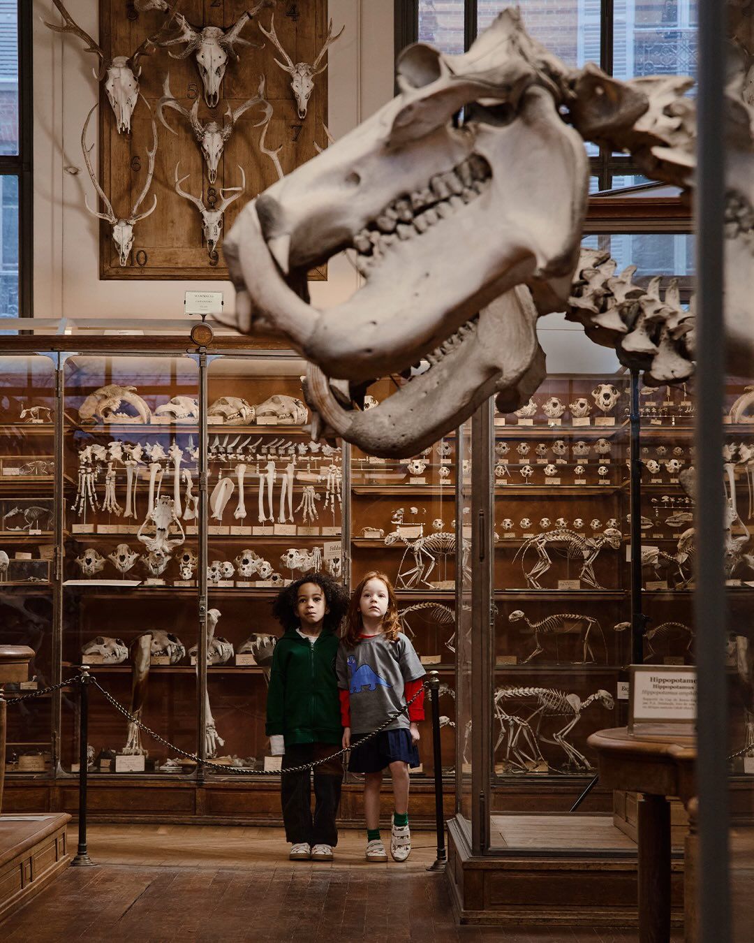 Een sneaker ontworpen met kinderen in gedachten 🦖🦕

VEJA werkte samen met het Muséum National d’Histoire Naturelle aan deze versie van de Esplar Kids, waarin wetenschap en verbeelding samenkomen ❤️

Nu verkrijgbaar online en in de winkel.

#vanloock #veja #vejakids #esplarsneaker #dinosneaker #kindersneakers #kidsstore #kinderschoenen